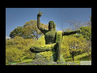 Alegria Verdejante em Hamamatsu  