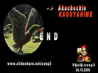 Alegria Verdejante em Hamamatsu  