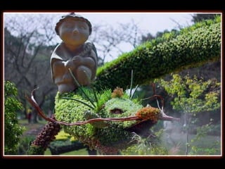 Alegria Verdejante em Hamamatsu  