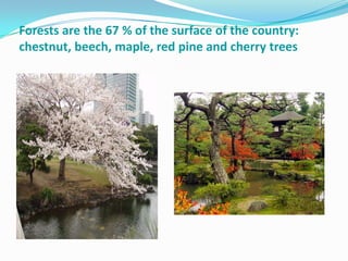 Forests are the 67 % of the surface of the country:
chestnut, beech, maple, red pine and cherry trees
 