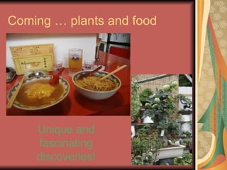 Coming … plants and food Unique and fascinating discoveries! 