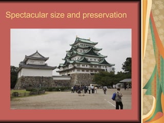 Spectacular size and preservation 