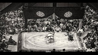 Sumo
 