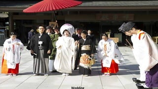 Wedding
 