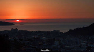 Sagami Bay
 