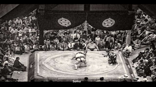 Sumo
 