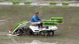 Japanese rice planting machine in action
 