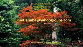 Pics. are from Tuna's archive
              tunaysem@gmail.com
               tuna.34@gmail.com




BlueDanube@yahoogroups.com




     http://groups.yahoo.com/group/BlueDanube
 