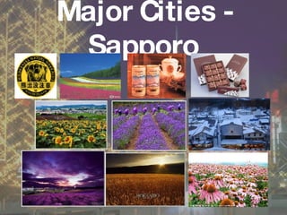 Major Cities - Sapporo Osaka 