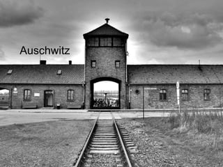 Auschwitz
 