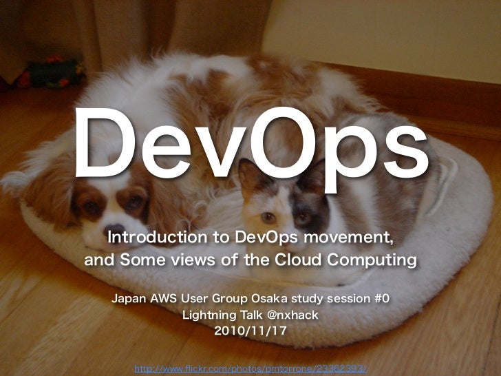 AWS-DevOps資格問題対応