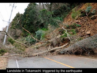 Landslide in Tokamachi triggered by the earthquake
 