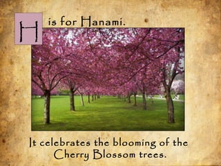 H
is for Hanami.
It celebrates the blooming of the
Cherry Blossom trees.
 