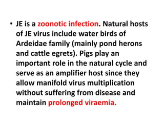 • JE is a zoonotic infection. Natural hosts
of JE virus include water birds of
Ardeidae family (mainly pond herons
and cattle egrets). Pigs play an
important role in the natural cycle and
serve as an amplifier host since they
allow manifold virus multiplication
without suffering from disease and
maintain prolonged viraemia.
 