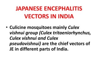 JAPANESE ENCEPHALITIS
VECTORS IN INDIA
• Culicine mosquitoes mainly Culex
vishnui group (Culex tritaeniorhynchus,
Culex vishnui and Culex
pseudovishnui) are the chief vectors of
JE in different parts of India.
 