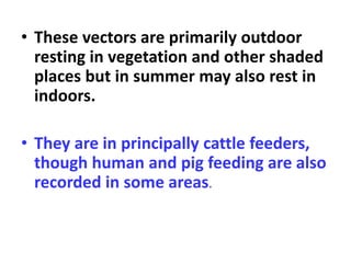 • These vectors are primarily outdoor
resting in vegetation and other shaded
places but in summer may also rest in
indoors.
• They are in principally cattle feeders,
though human and pig feeding are also
recorded in some areas.
 