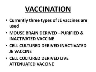 VACCINATION
• Currently three types of JE vaccines are
used
• MOUSE BRAIN DERIVED –PURIFIED &
INACTIVATED VACCINE
• CELL CULTURED DERIVED INACTIVATED
JE VACCINE
• CELL CULTURED DERIVED LIVE
ATTENUATED VACCINE
 