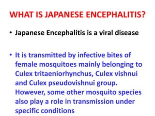 WHAT IS JAPANESE ENCEPHALITIS?
• Japanese Encephalitis is a viral disease
• It is transmitted by infective bites of
female mosquitoes mainly belonging to
Culex tritaeniorhynchus, Culex vishnui
and Culex pseudovishnui group.
However, some other mosquito species
also play a role in transmission under
specific conditions
 