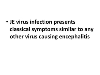 • JE virus infection presents
classical symptoms similar to any
other virus causing encephalitis
 