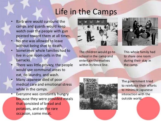Japanese internment essay