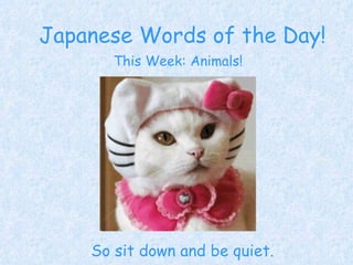 Japanese Words of the Day! So sit down and be quiet. This Week: Animals! 