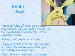 Japanese Animal Names