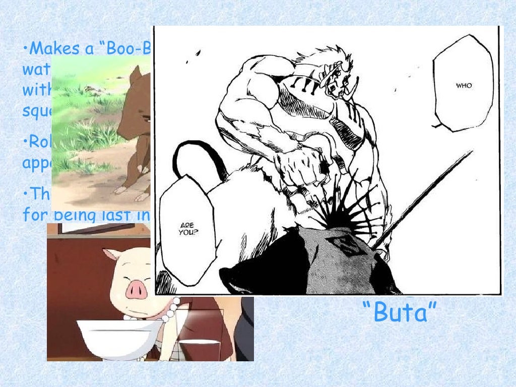 Japanese Animal Names