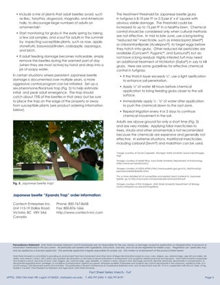 Japanese Beetle Fact Sheet | PDF