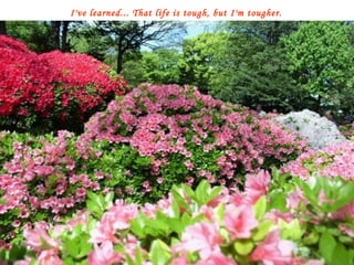I've learned... That life is tough, but I'm tougher. 