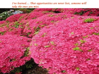 I've learned.... That opportunities are never lost, someone will take the ones you miss. 