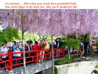 I've learned..... That when your newly born grandchild holds Your little finger in his little fist, that you're hooked for life. 