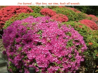I've learned.... That love, not time, heals all wounds. 