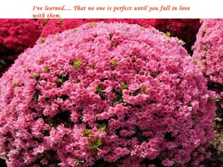 I've learned.... That no one is perfect until you fall in love with them. 