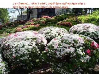 I've learned.... That I wish I could have told my Mom that I love her one more time before she passed away. 