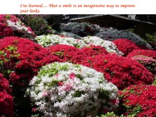 I've learned.... That a smile is an inexpensive way to improve your looks. 