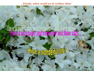 Friends, where would we be without them!   Have a nice today and tomorrow and there after....  Have a wonderful life! 