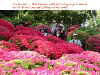 I've learned..... That having a child fall asleep in your arms is one of the most peaceful feelings in the world. 