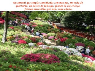 Eu aprendi que simples caminhadas com meu pai, em volta do  quarteirão, em noites de domingo, quando eu era criança,  fizeram maravilhas por mim, como adulto. 