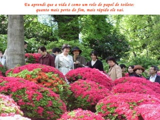 Eu aprendi que a vida é como um rolo de papel de toilete:  quanto mais perto do fim, mais rápido ele vai. 