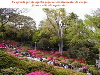 Eu aprendi que são aqueles pequenos acontecimentos do dia que fazem a vida tão espetacular. 