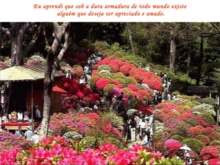 Eu aprendi que sob a dura armadura de todo mundo existe  alguém que deseja ser apreciado e amado. 