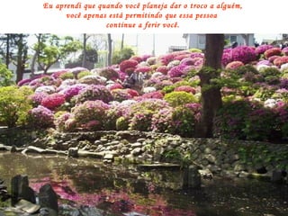 Eu aprendi que quando você planeja dar o troco a alguém, você apenas está permitindo que essa pessoa  continue a ferir você. 