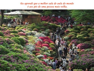 Eu aprendi que a melhor sala de aula do mundo  é aos pés de uma pessoa mais velha. 