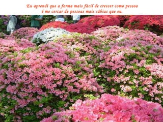 Eu aprendi que a forma mais fácil de crescer como pessoa é me cercar de pessoas mais sábias que eu. 