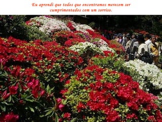 Eu aprendi que todos que encontramos merecem ser cumprimentados com um sorriso. 