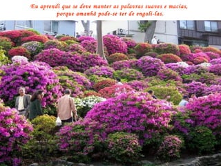 Eu aprendi que se deve manter as palavras suaves e macias,  porque amanhã pode-se ter de engoli-las. 