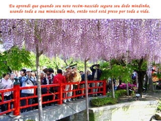 Eu aprendi que quando seu neto recém-nascido segura seu dedo mindinho, usando toda a sua minúscula mão, então você está preso por toda a vida. 