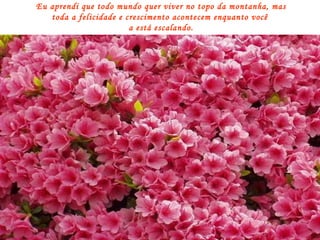 Eu aprendi que todo mundo quer viver no topo da montanha, mas toda a felicidade e crescimento acontecem enquanto você  a está escalando. 