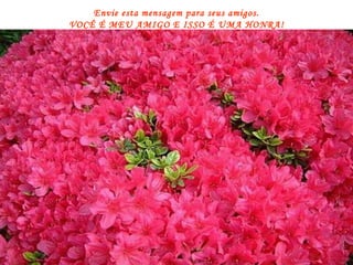Envie esta mensagem para seus amigos. VOCÊ É MEU AMIGO E ISSO É UMA HONRA! 