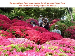 Eu aprendi que fazer uma criança dormir em seus braços é um  dos sentimentos mais pacíficos do mundo. 